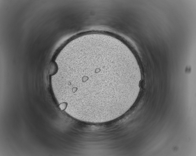 X0000101421271200808041119