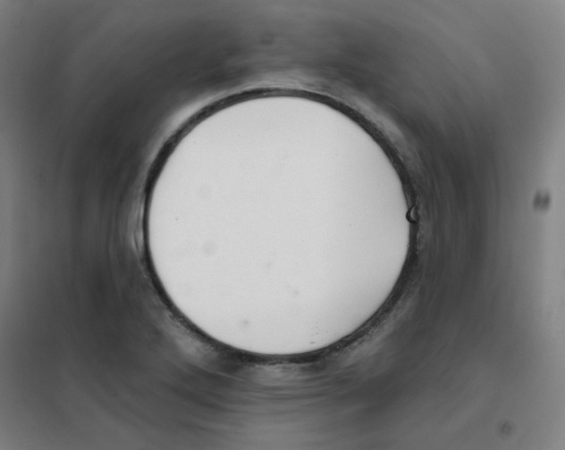 X0000101421272200808041119