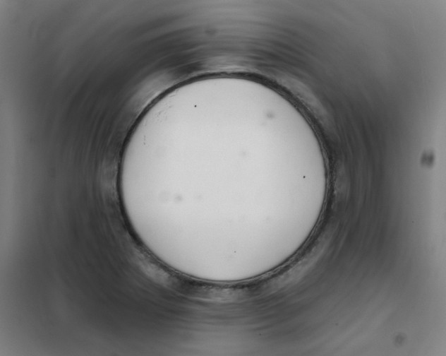 X0000101421273200808041119