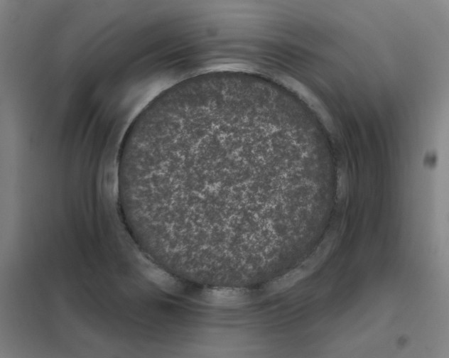 X0000101421274200808041119
