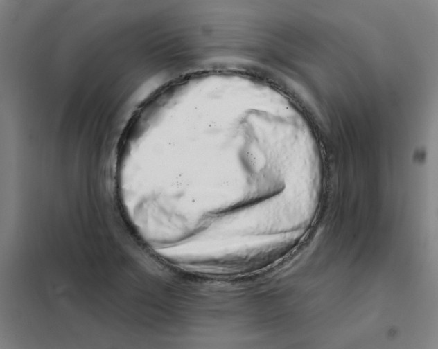X0000101421275200808041119