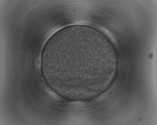 X0000101421276200808041119