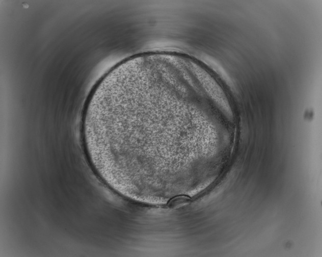 X0000101421277200808041119