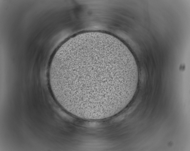 X0000101421278200808041119