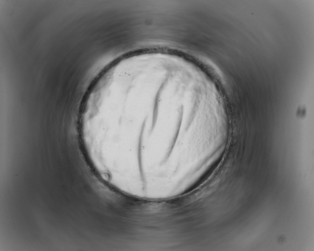 X0000101421279200808041119