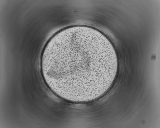 X0000101421280200808041119