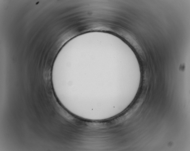 X0000101421281200808041119