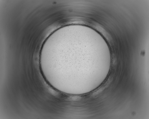 X0000101421282200808041119