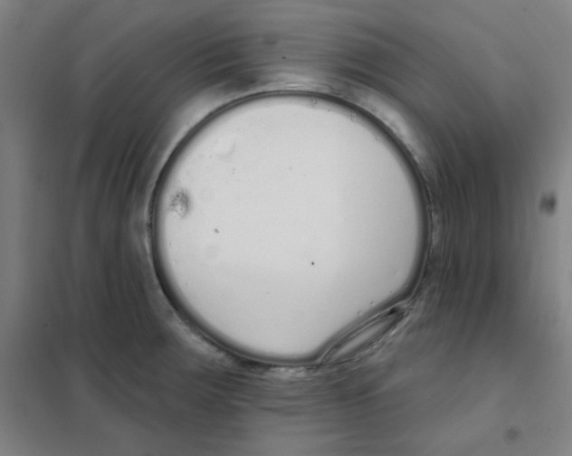 X0000101421283200808041119