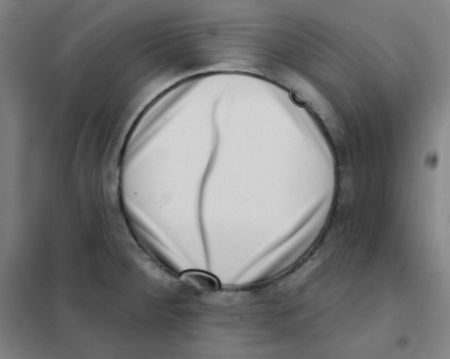 X0000101421284200808041119