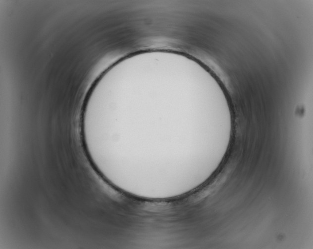 X0000101421285200808041119