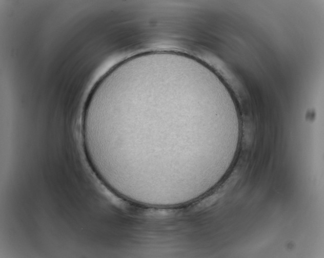 X0000101421286200808041119