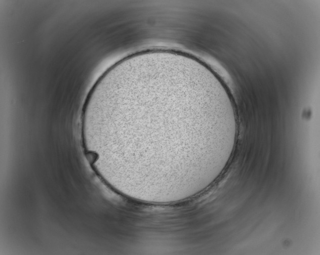 X0000101421287200808041119