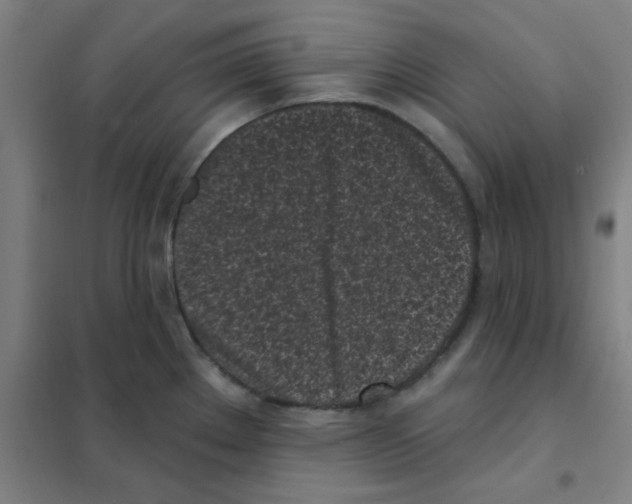X0000101421289200808041119