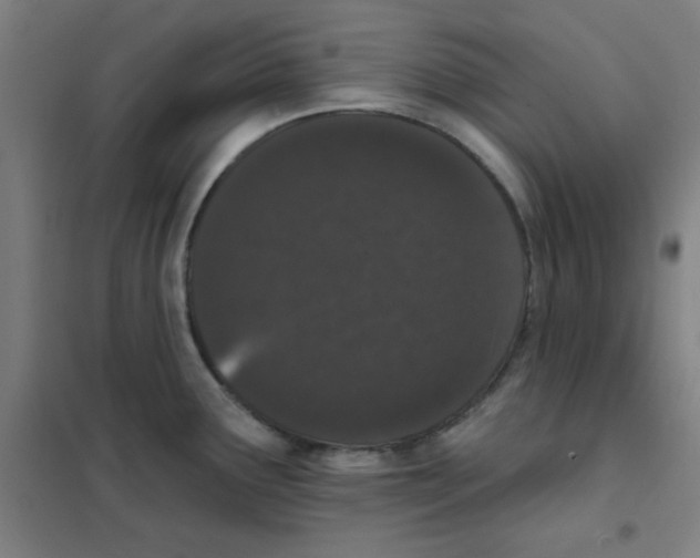 X0000101421291200808041119