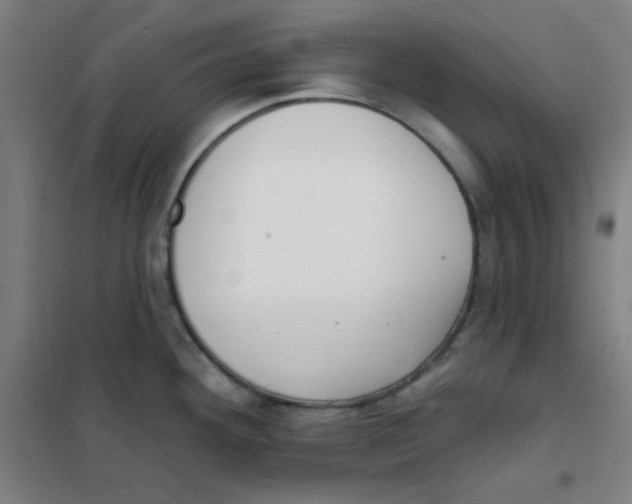 X0000101421292200808041119