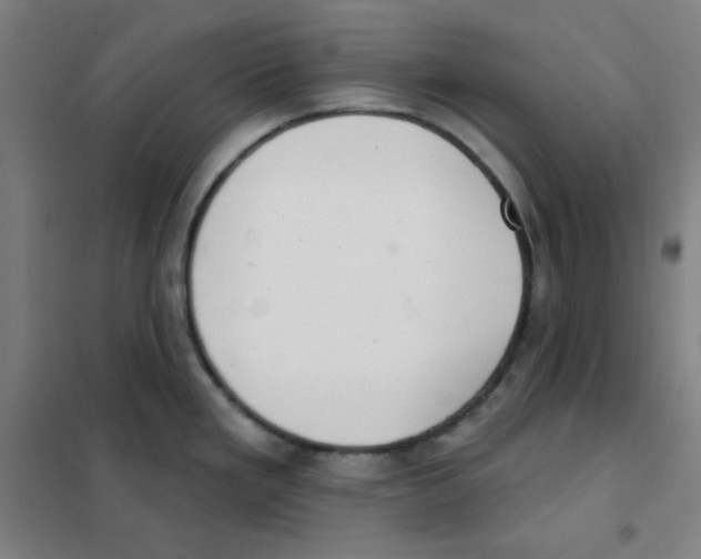 X0000101421293200808041119
