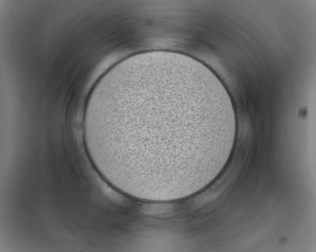 X0000101421294200808041119