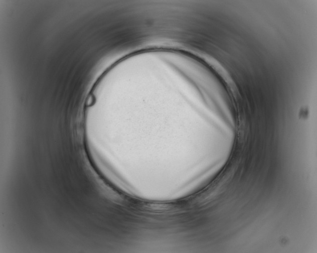 X0000101421295200808041119