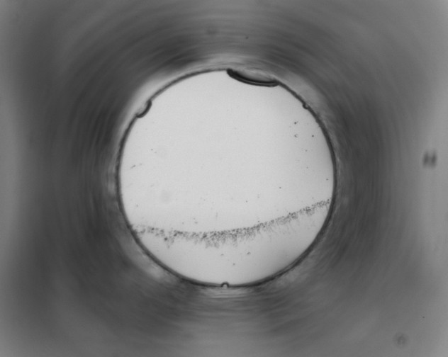 X0000101421296200808041119