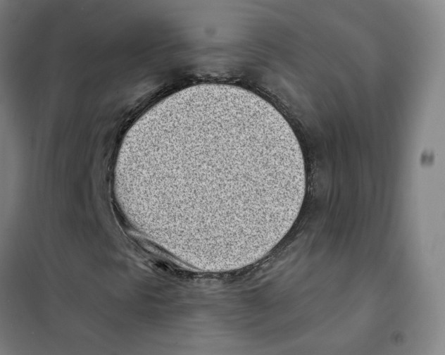 X0000101421297200808041118