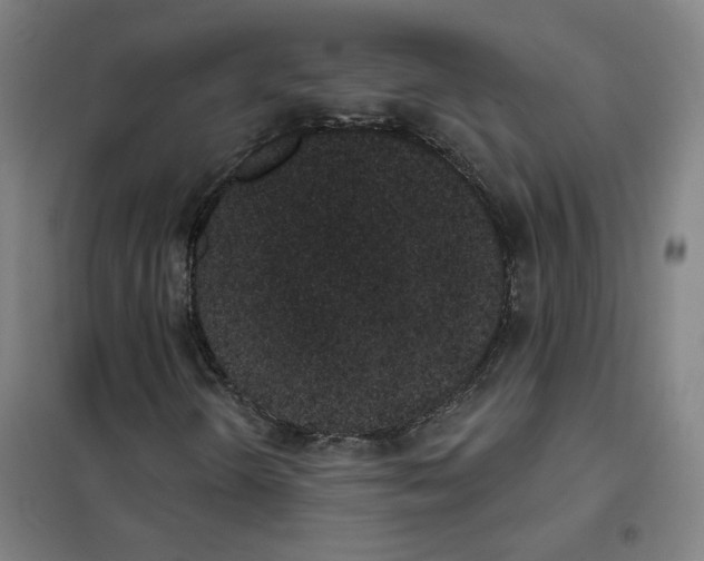 X0000101421298200808041118