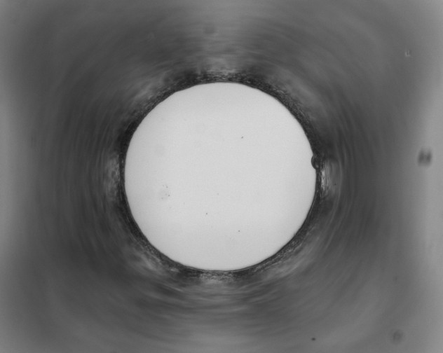 X0000101421299200808041118