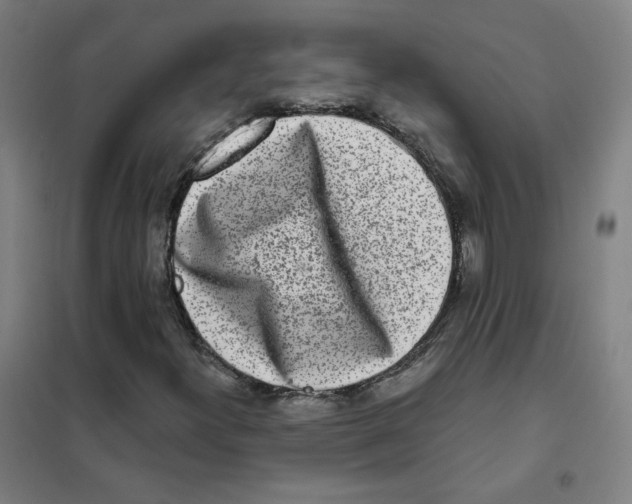 X0000101421300200808041118