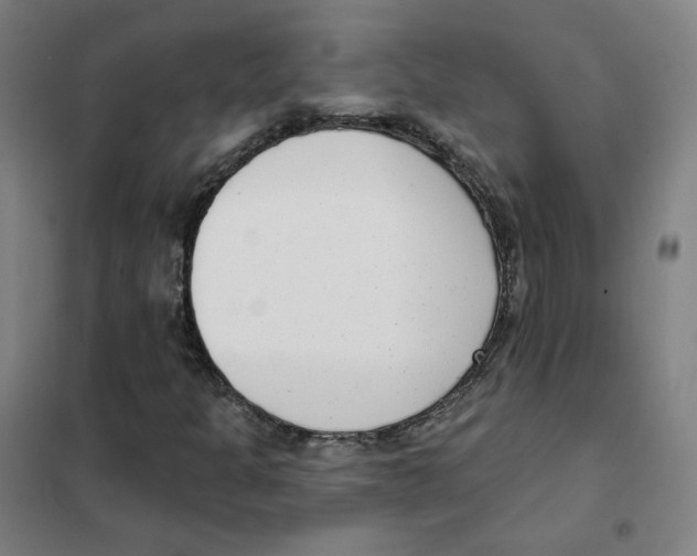 X0000101421301200808041118
