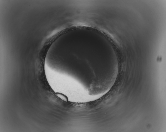X0000101421303200808041118