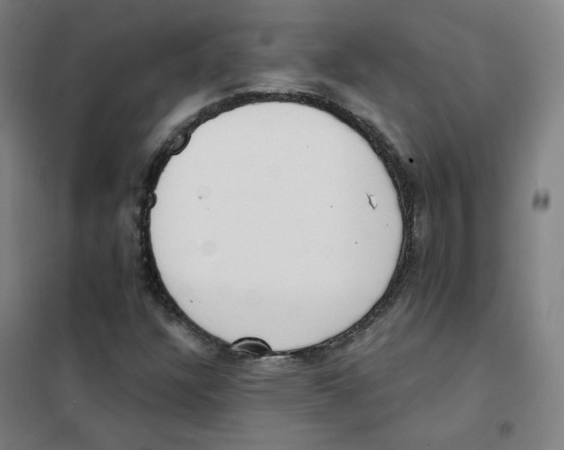 X0000101421304200808041119