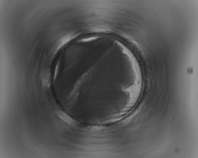X0000101421306200808041119