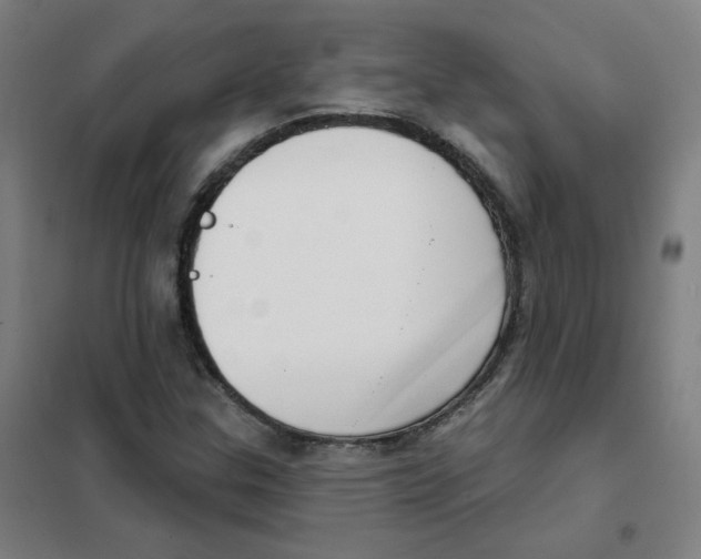 X0000101421307200808041119