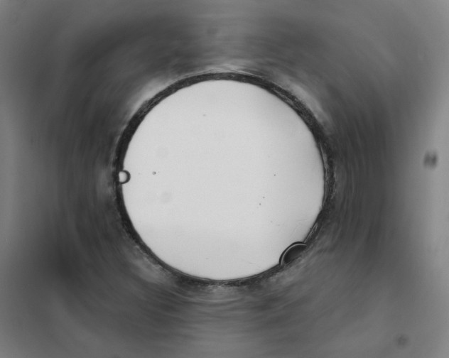 X0000101421308200808041119
