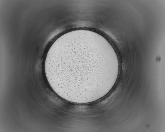 X0000101421309200808041119