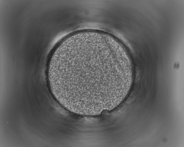 X0000101421312200808041119