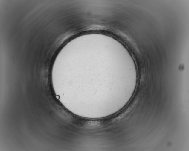 X0000101421313200808041119