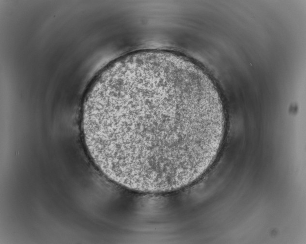 X0000101421314200808041119