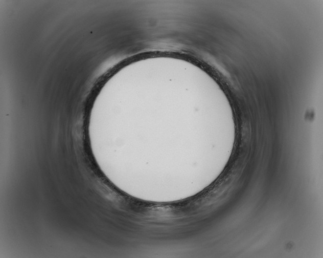 X0000101421315200808041119