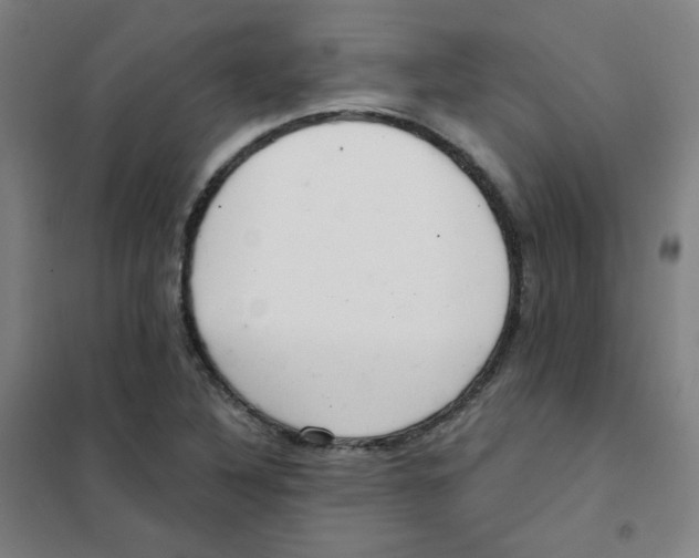 X0000101421316200808041119