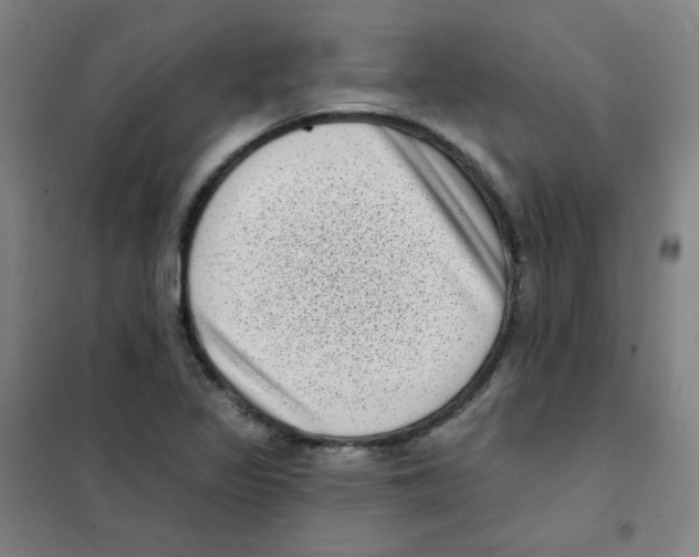 X0000101421317200808041119