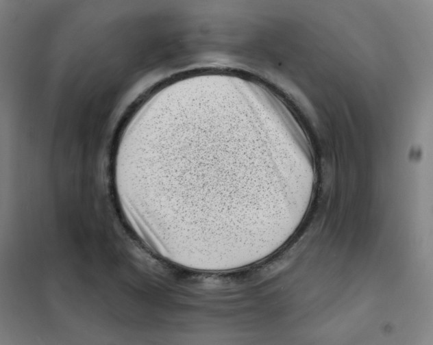 X0000101421318200808041119