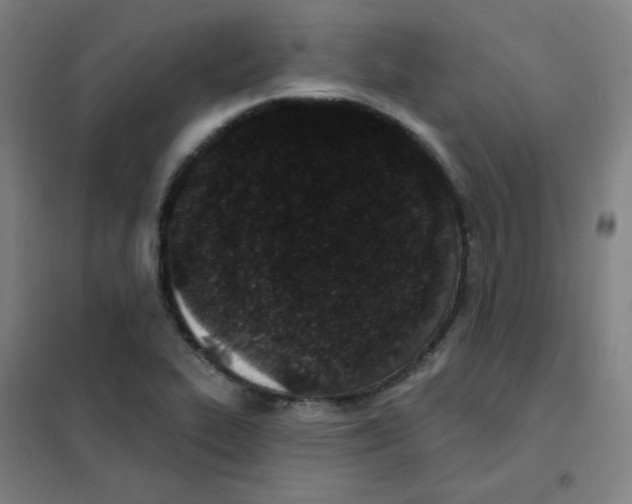 X0000101421319200808041119