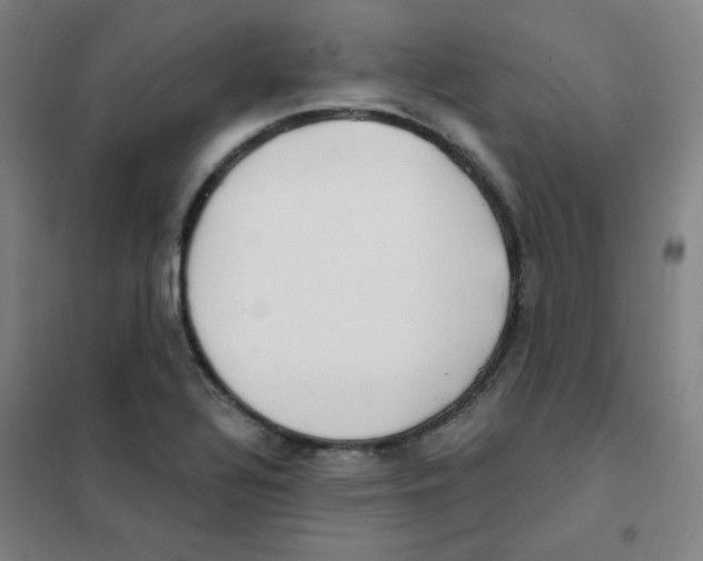 X0000101421320200808041119