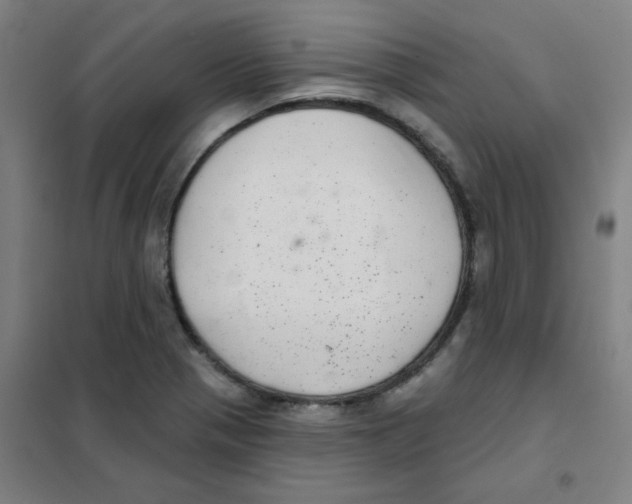 X0000101421321200808041119
