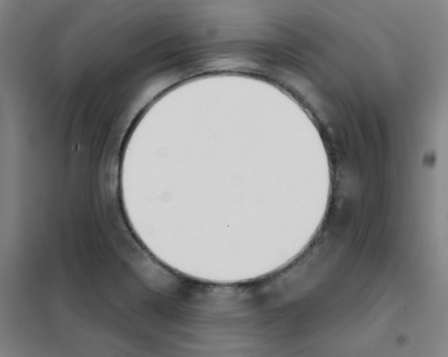 X0000101421322200808041119