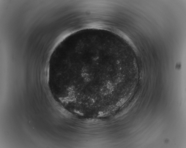 X0000101421323200808041119