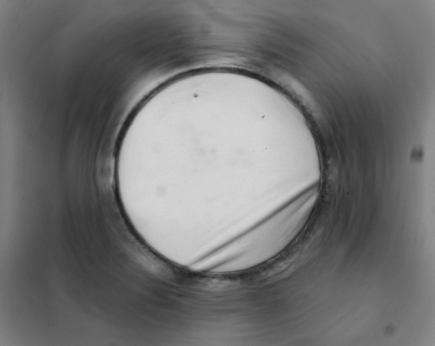 X0000101421324200808041119