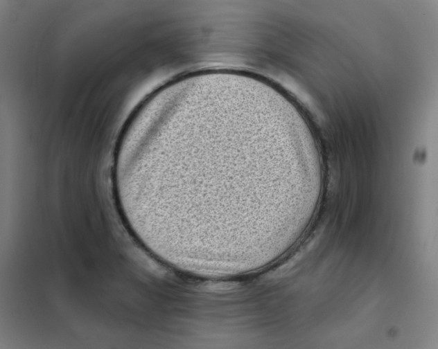 X0000101421325200808041119