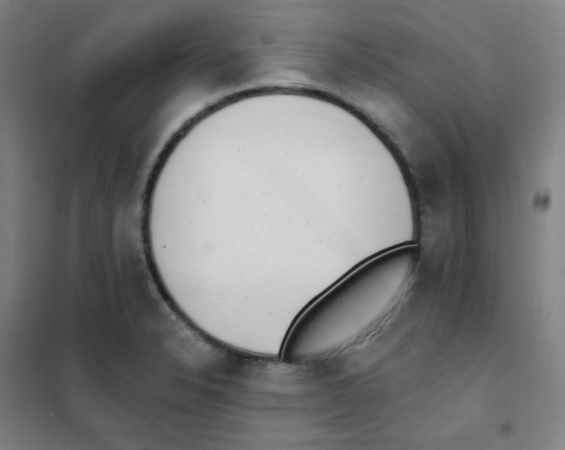 X0000101421326200808041119